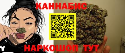 марки nbome Сланцы