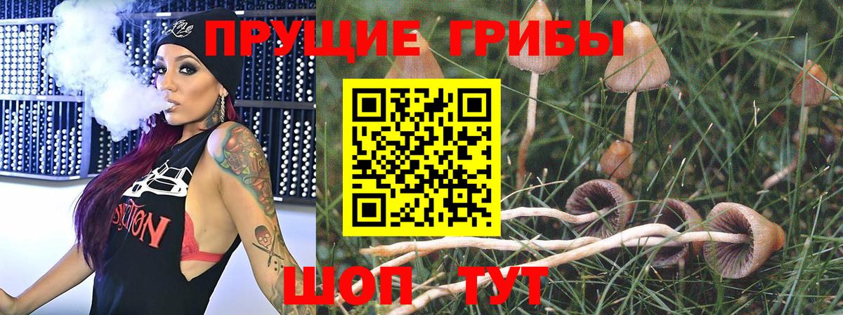 Псилоцибиновые грибы GOLDEN TEACHER Нижний Тагил
